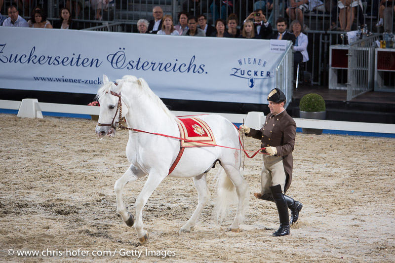 VIENNA, AUSTRIA - JUNE 26: Presentation of the Spanish Riding School Lippizaner Horses at the gala event 450 years Spanische Hofreitschule on June 26, 2015 in Vienna, Austria.  (Photo by Chris Hofer/Getty Images)