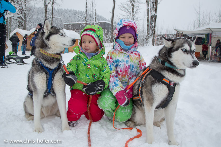 Hundeschlittenrennen Werfenweng 08.01.2017 Foto: Chris Hofer Bild zeigt: Nina mit Hund Luca und Leonie mit Hund Nala (Siberische Husky)