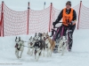 Hundeschlittenrennen Werfenweng 08.01.2017 Foto: Chris Hofer