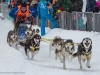Hundeschlittenrennen Werfenweng 08.01.2017 Foto: Chris Hofer