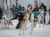 Hundeschlittenrennen Werfenweng 08.01.2017 Foto: Chris Hofer Bild zeigt: aufgeregte Hunde beim Start