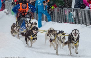 Fotograf Salzburg Hundeschlittenrennen